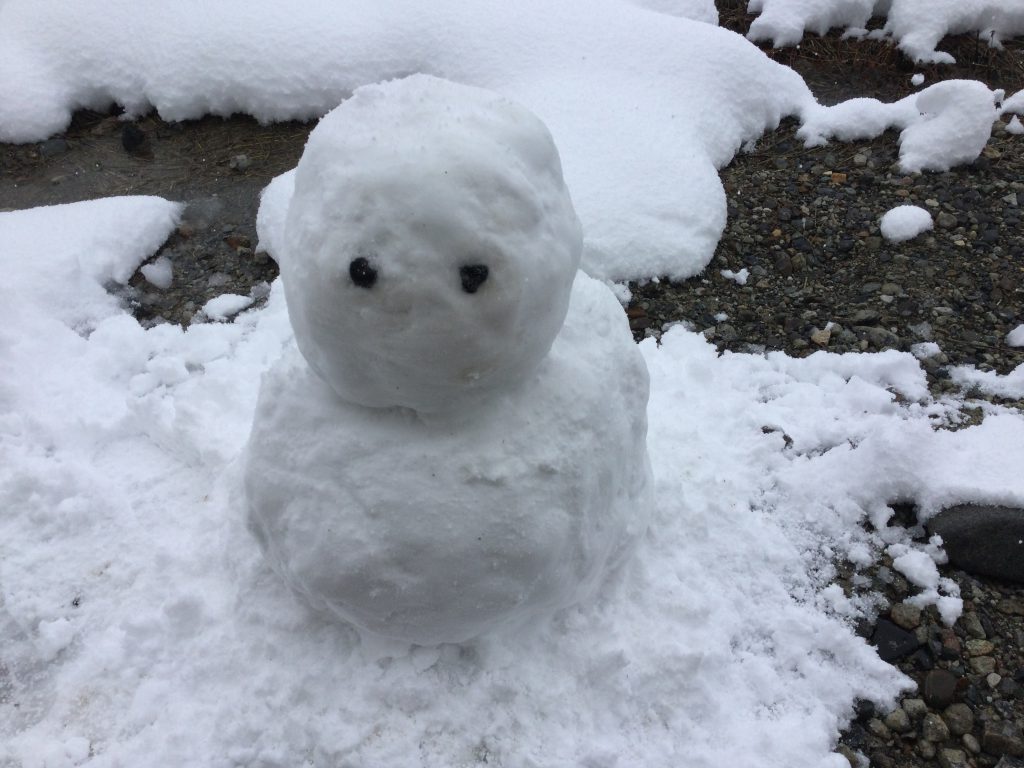 First snowman, December 2021