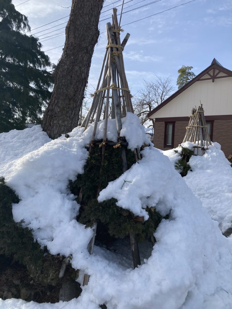 Strong teepee shaped structures protect the trees and shrubs from the deep and heavy snow in Minamiuonuma, Niigata, Japan.