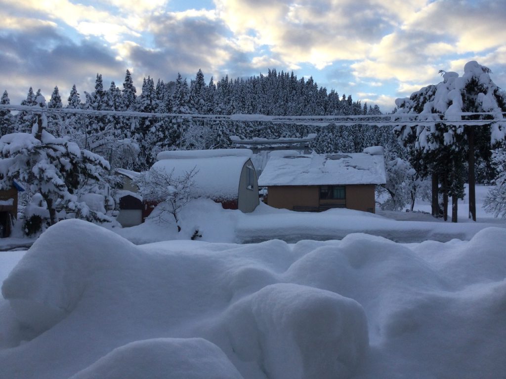 Snowy scene in the village