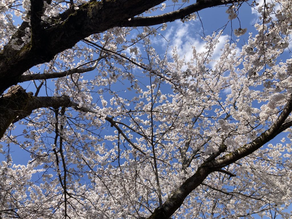 Spring in Minamiuonuma, Niigata, Japan